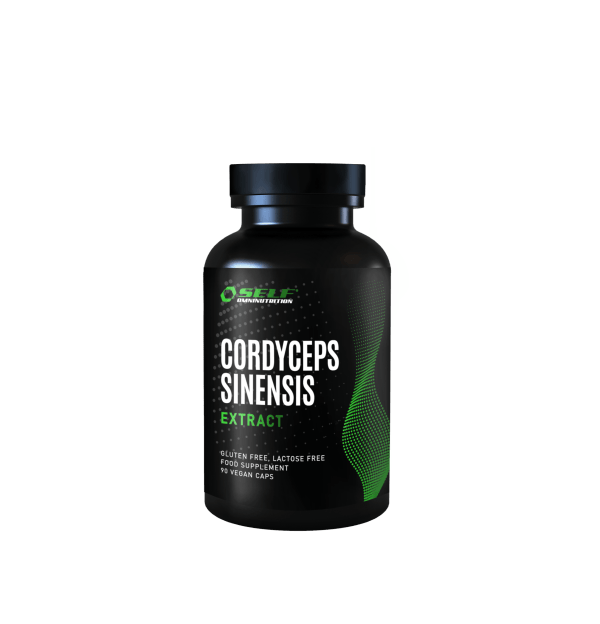 cordyceps-sinensis-90kapseln